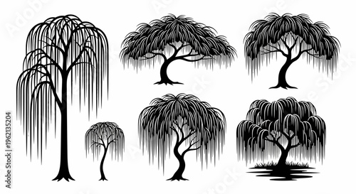Weeping Willow Tree Silhouettes Collection