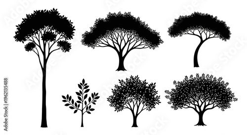 Silhouette Tree Collection Vector Illustration
