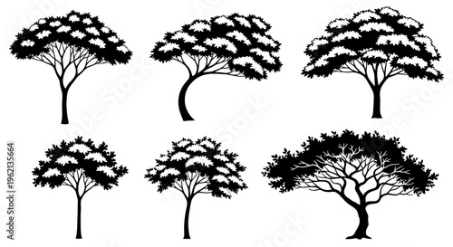 Silhouette Tree Collection
