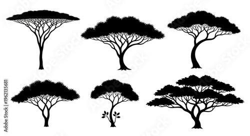 Silhouette Trees Collection: Acacia, Savanna Flora, African Landscape Elements
