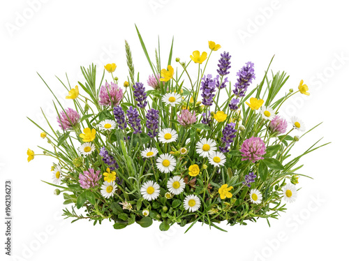 Colorful Wildflower Bouquet with Meadow Flowers