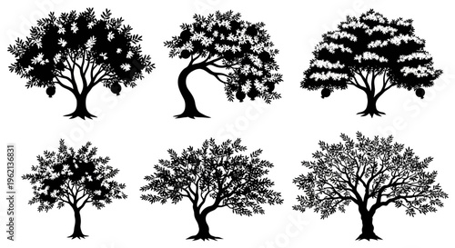 Silhouettes of Six Fruit Trees, Vector Illustrations