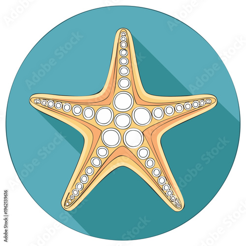 Vibrant starfish graphic illustration on a blue circular background with shadow