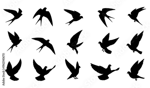 Flying bird silhouette collection with varied wing poses swallows doves and pigeons vector set