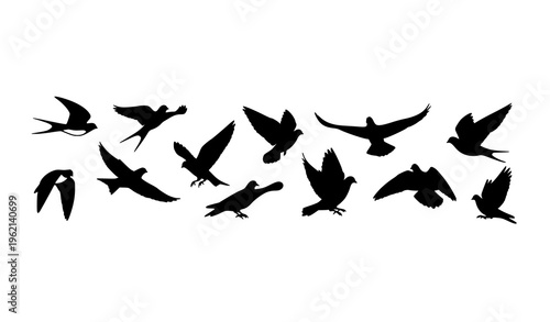 Flying bird silhouette set with swallows doves and pigeons in minimal flat vector style