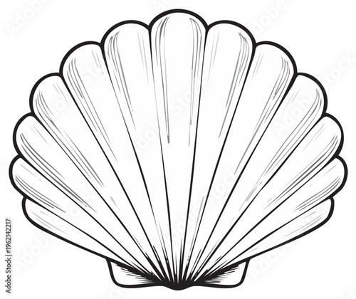 Simple Line Art Illustration of a Scallop Shell, Black Outline and Detail, Coastal and Nautical Theme