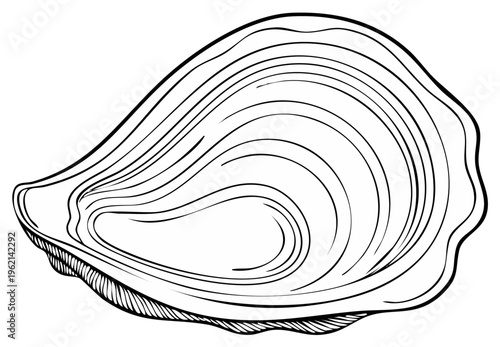 Oyster Shell Graphic Illustration Bold Outline Black and White Seafood Ocean Design