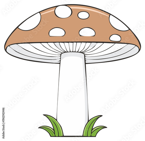 Cartoon Style Mushroom Illustration with Grass, Edible Fungi Image