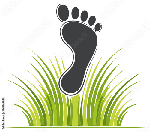 Footprint in green grass with a white border nature concept.