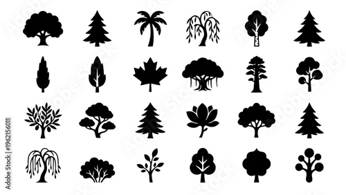 Collection of Various Tree Silhouettes for Design and Nature Concepts