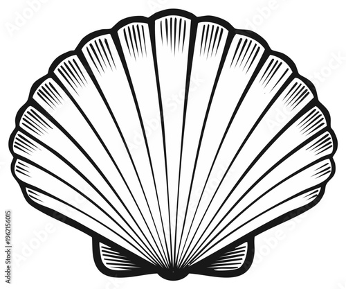 Elegant seashell line art illustration depicting ocean beauty, marine life, nature's form, and scallop design for graphic applications and seaside themes