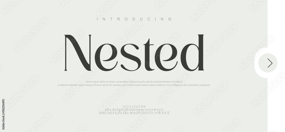 Fototapeta premium Elegant awesome alphabet letters font and number. Typography, modern serif fonts, regular decorative beauty concepts. Vector illustrations. 