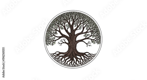 Tree of life with roots and branches.