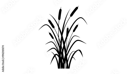 Decorative Reed Silhouette Elegant Botanical Black Vector Illustration