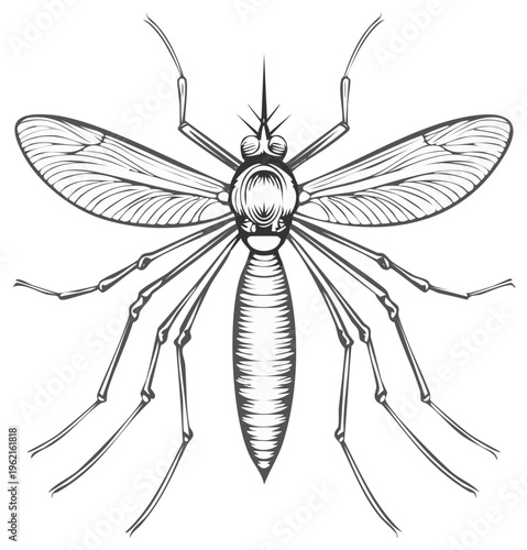 Detailed outline illustration of a mosquito with wings spread and legs extended, artfully rendered.