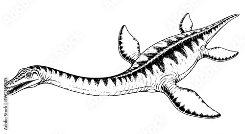 elasmosaurus vector art