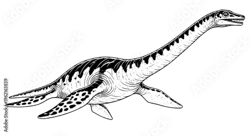 elasmosaurus vector art
