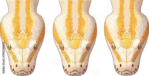 Realistic snake head vector illustration set showing three identical detailed heads of a yellow and white patterned snake, exotic reptile design for educational or decorative use