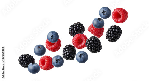 Berries mixing with falling raspberries blackberries and blueberries PNG. Fresh sweet raw organic juicy forest fruit flying isolated for healthy natural vegan nutrition and summer dessert recipes