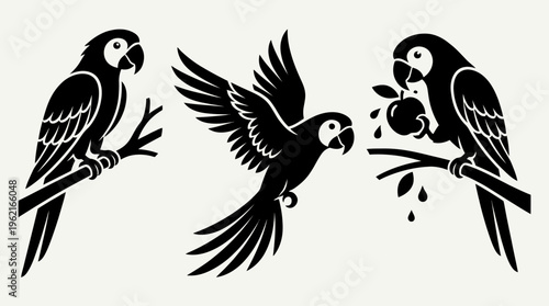 Stylized parrot silhouettes perched and flying, one pecking fruit, capturing natural behavior, movement, elegance, tropical vibrancy, artistic wildlife depiction.