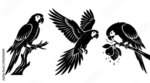 Stylized parrot silhouettes perched and flying, one pecking fruit, capturing natural behavior, movement, elegance, tropical vibrancy, artistic wildlife depiction.