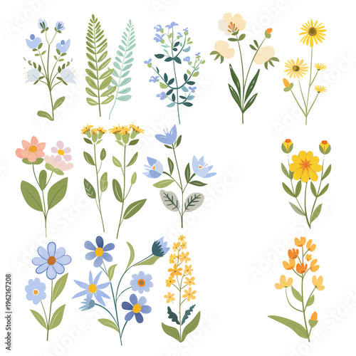 Spring Flowers Illustration Set Isolated – Floral Blossoms Collection for Design and Decoration