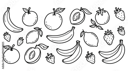 Various fruits line art illustration set on white background.