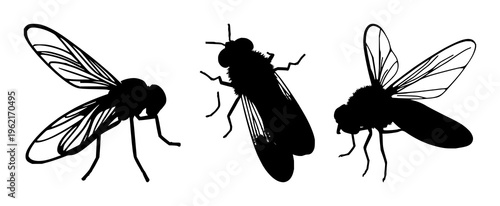 Firefly silhouette set with night sky background and glowing wings featuring insects, glow, nocturnal with vector and minimalist