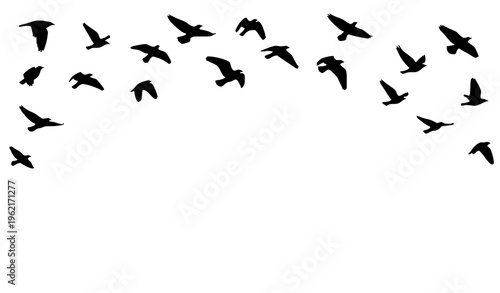 Flying bird silhouettes in open sky composition symbolizing freedom minimal vector illustration