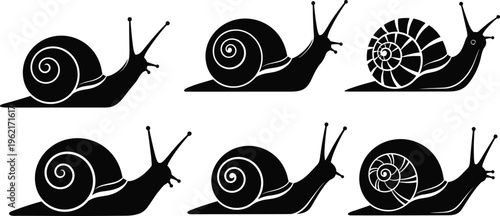 Collection of black snail silhouettes with different spiral shell patterns isolated on white background for garden nature and wildlife design