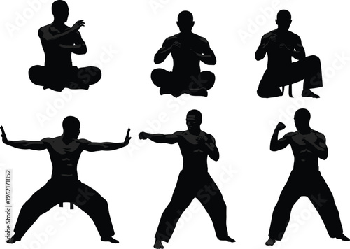 Martial Arts Silhouettes Set Featuring Fighters in Various Combat Poses Kung Fu Karate and Training Stances for Sports Graphic Design