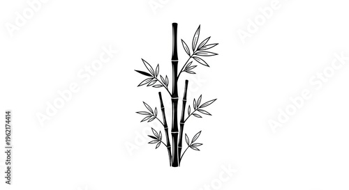 Elegant black bamboo stalk with leaves vector illustration on white background