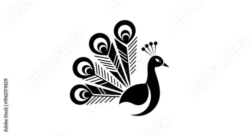 Elegant black and white peacock illustration for design and decoration