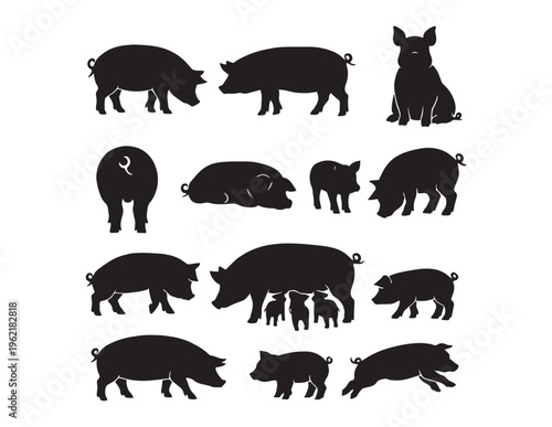 Black pig silhouettes, a diverse collection of domestic farm animal vectors. Various swine poses, including adult pigs, piglets, and sows, ideal for agriculture, farming