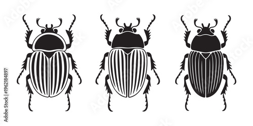 Set of three beetle silhouettes with different striped patterns illustration. insect icons isolated on white.