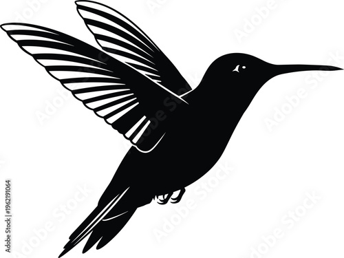 Elegant hummingbird silhouette in flight with detailed wings and long beak, nature wildlife symbol, bird design artwork, graceful motion, flat vector illustration