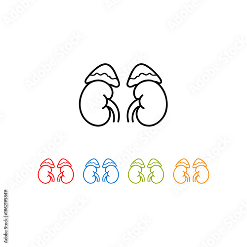 adrenal glands icons set in different colors
Vector set icon in different colors on a white background