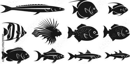 Fish silhouette illustration set, diverse aquatic species in black and white design showing unique shapes and fin structures - flat vector illustration