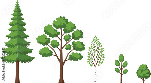 Various Green Tree Collection with Different Forest Plants and Nature Elements Flat Vector Illustration Isolated on White Background for Landscape Design