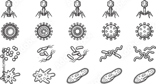 A diverse collection of microorganisms, meticulously illustrated, reveals the intricate details of biological structures and forms.