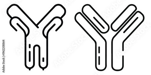 Diagram of antibody structure with two heavy chains and light chains