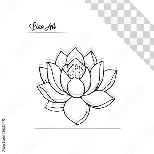 lotus vector line art