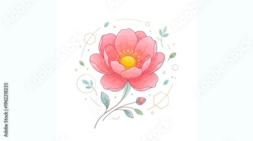 Beautiful Pink Peony Flower Illustration.