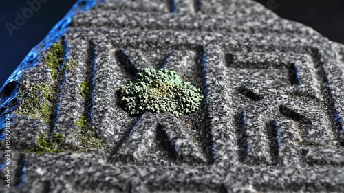 Close up of ancient carved stone with moss and lichen growth, showing weathered texture and intricate geometric patterns