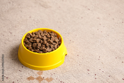 Bowl with dry dog food on f...