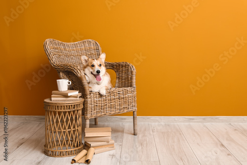 Cute Corgi dog with headpho...