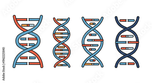 RNA Strand Line art vector minimal color shapes illustration