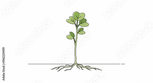 A simple illustration of a small green plant with visible roots