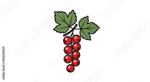 A sprig of bright red currants with green leaves