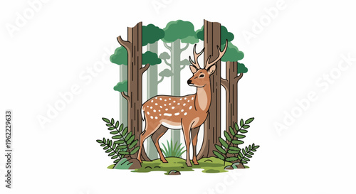 A spotted deer stands in a forest clearing with trees and ferns